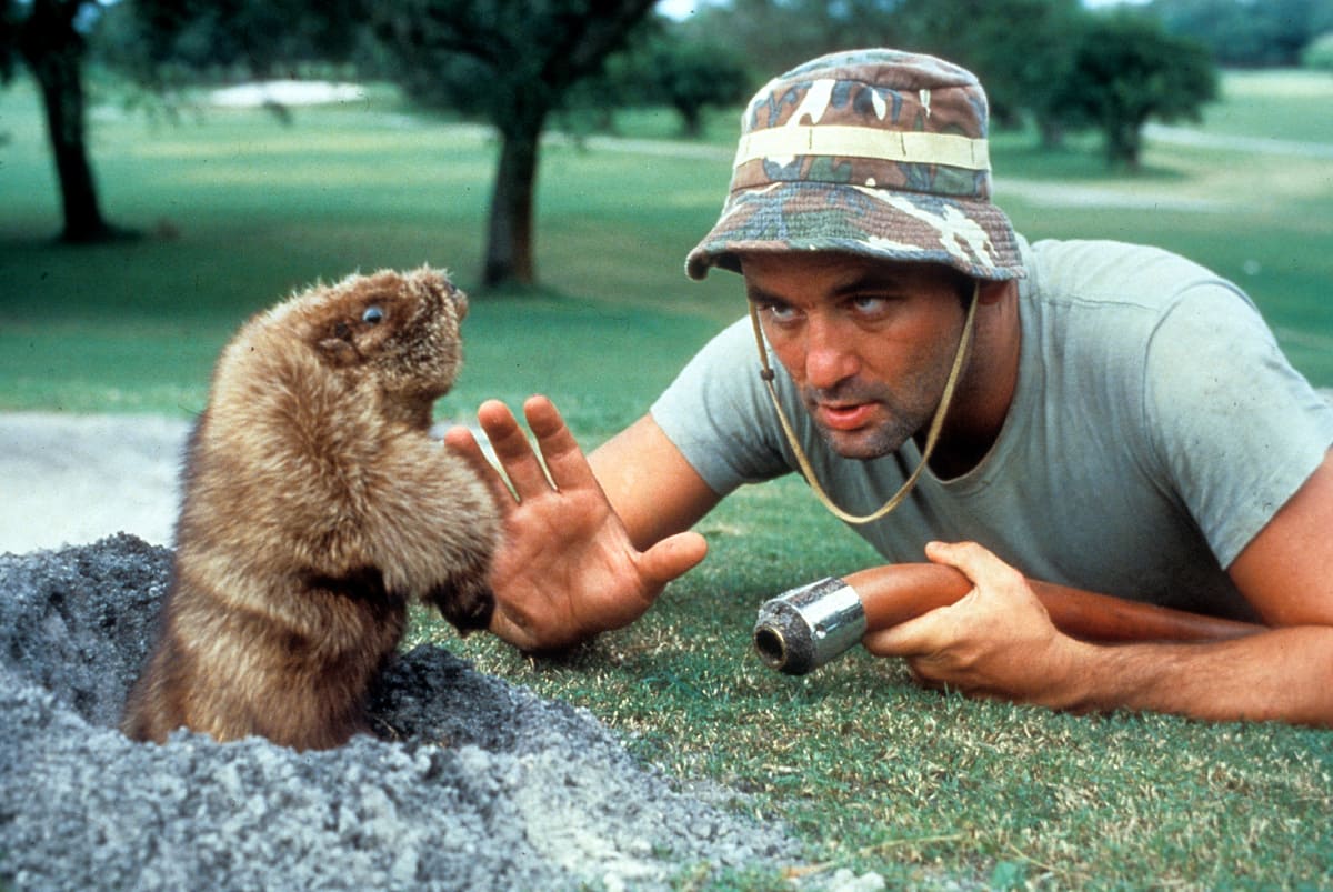 Caddyshack 1980